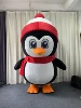 Pinguino rosso