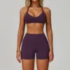 Hanging Neck Bra+ Shorts (Purple)