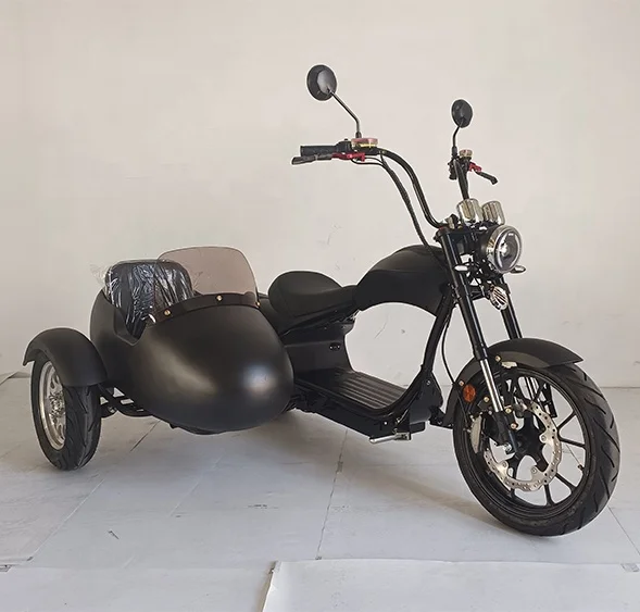 USA Warehouse Three Wheel Side Car Fat E-Bicycle Sidecar Electric Bicycle Vintage Sidecar E Bike Cargo Bike Trike