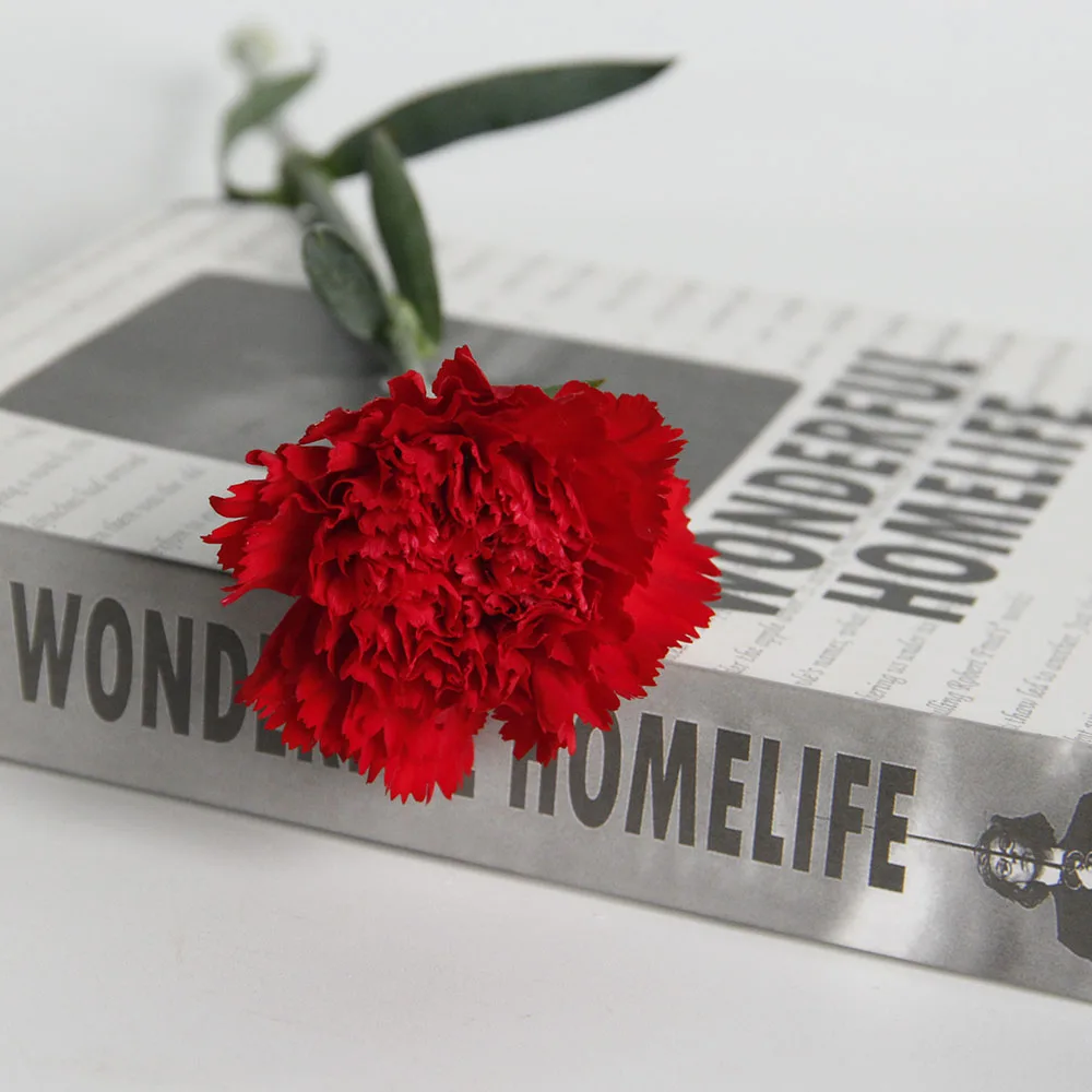 Fresh Cut Flower Bulk China Agriculture Ornamental Plants Fresh Cut