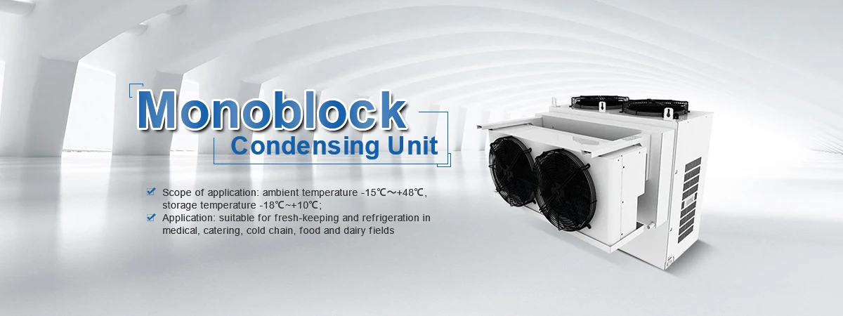 Monoblock Refrigeration Units Cold Room All in One Condensing Unit Compressor Condensing Unit