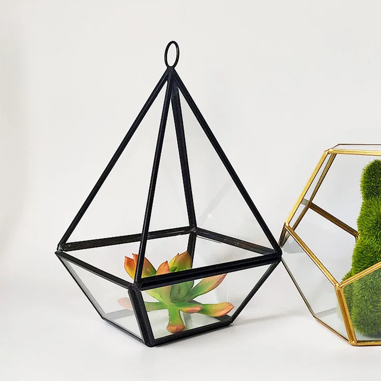 Black Small Inclined Cube Clear Decorative Plante Geometric Glass