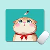 Gato gordito 1080