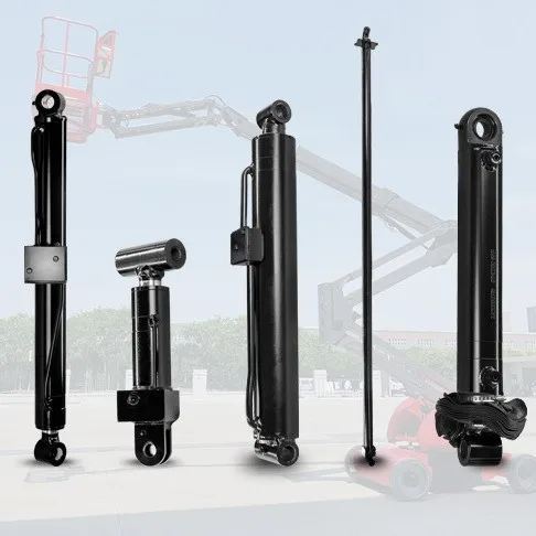 China Factory Custom Boom Type Hydraulic Cylinders for Aerial Platforms Jib Steering Telescopic Luffing Floating