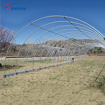 Single Span PE Film Galvanized Steel Structure Greenhouse Agriculture Plastic Greenhouse Tunnel Type