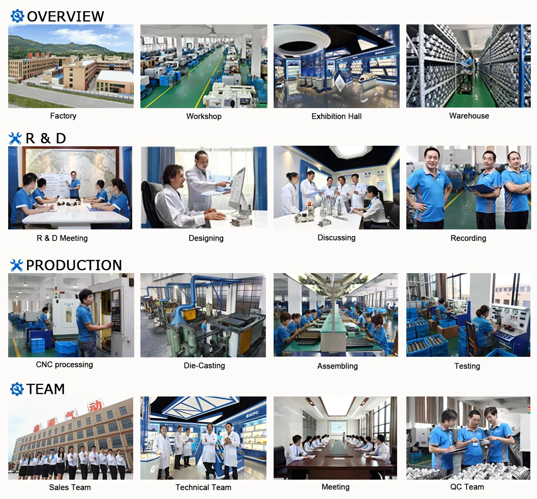 company info.jpg
