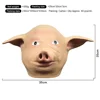 Beige Pig