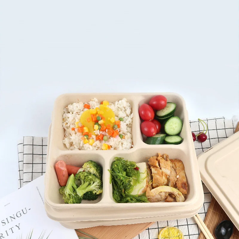 Food Containers with Lids 2 Piece Sugarcane Restaurant Container with Compartments 9x9 in