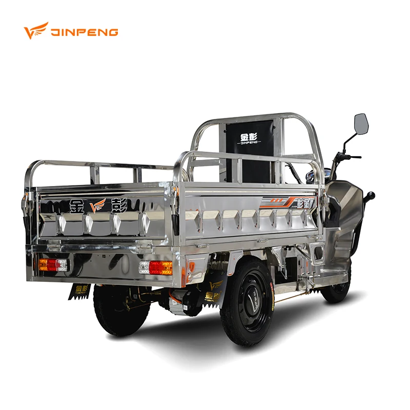 2024 Cheap E-Trikes 3 Wheel Cargo Electric Tricycles Motorcycle Three Wheel Adult