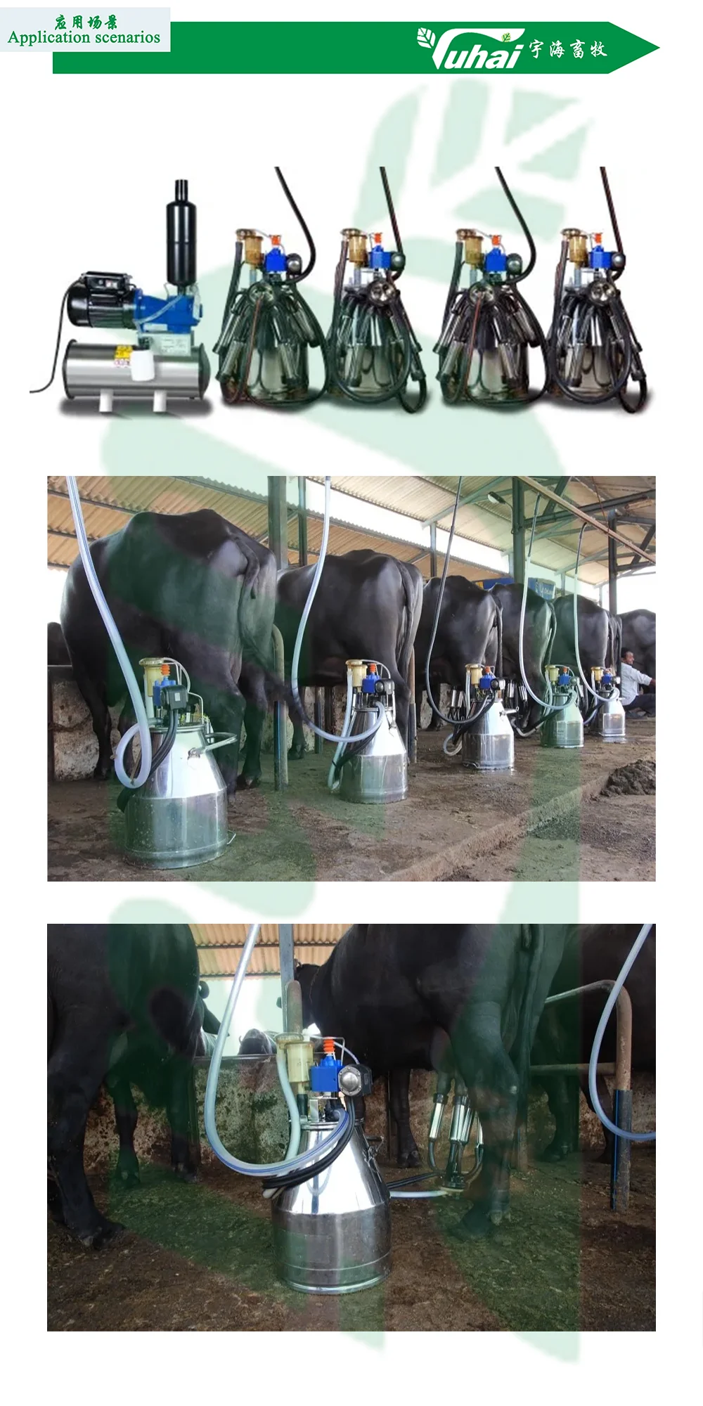 Duovac Mobile Hanger Milk Meter for Cow Milking Machine with HP102 Pulsator and Indicator;cow Milking Machine Automatic supplier
