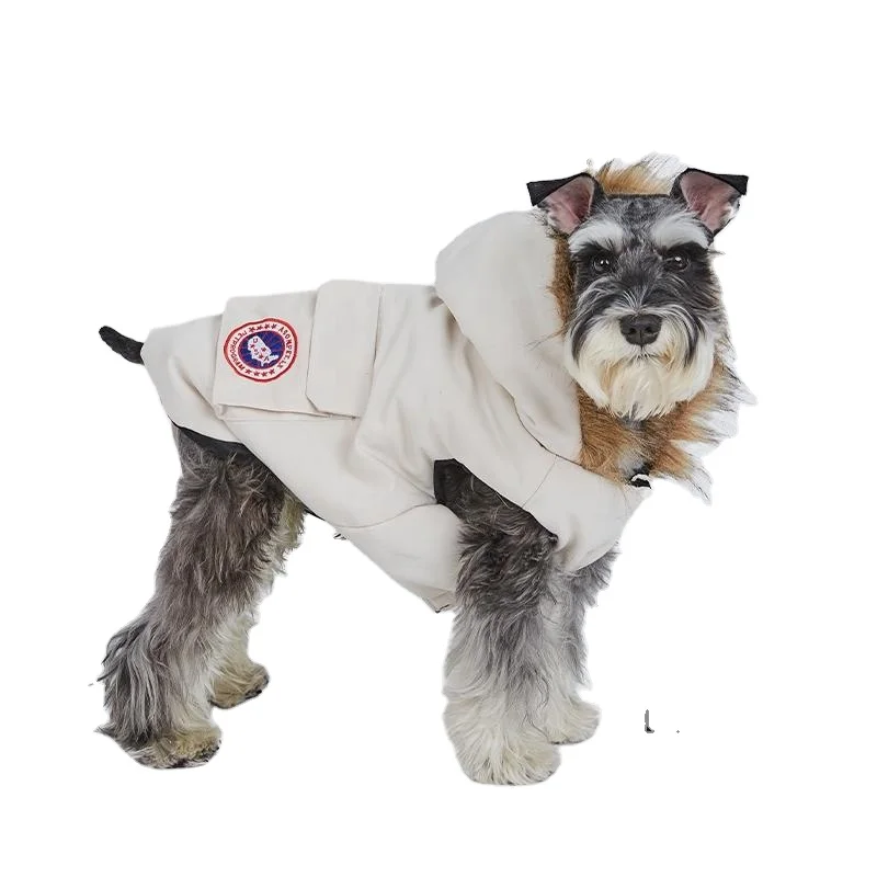 dogs apparel & accessories