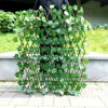 Feuille de vigne verte