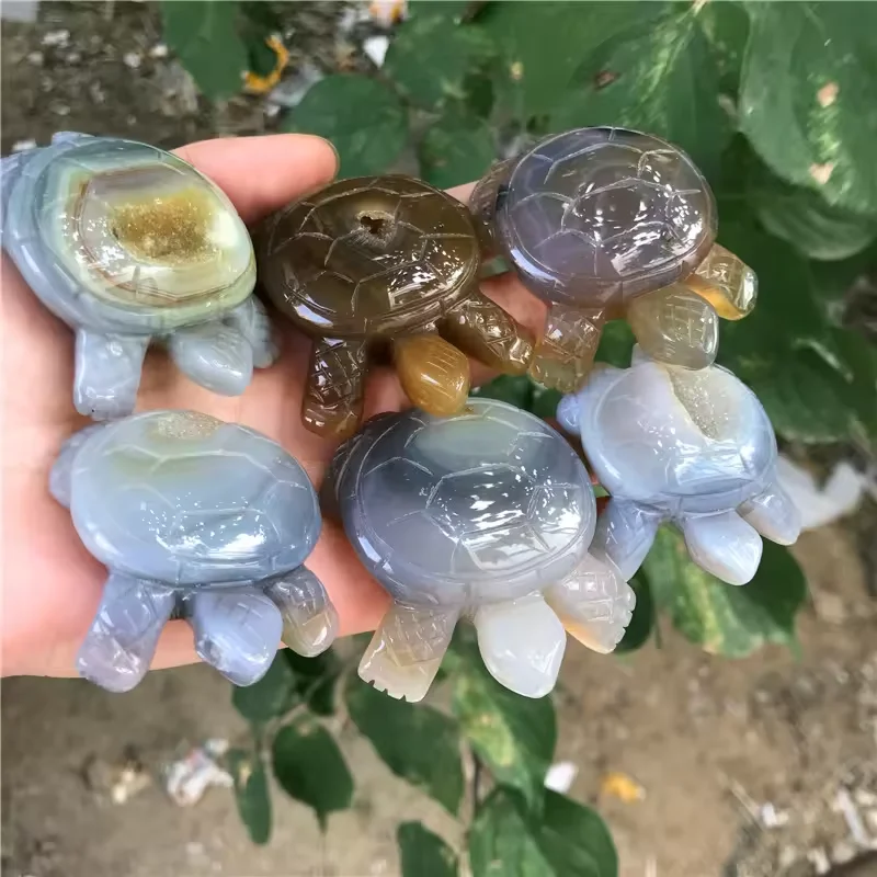 Druzy store Agate Turtle