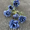 สีฟ้าฝุ่น, 6 สีชมพูกุหลาบฮิบิสคัส