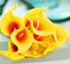 Giallo-arancio