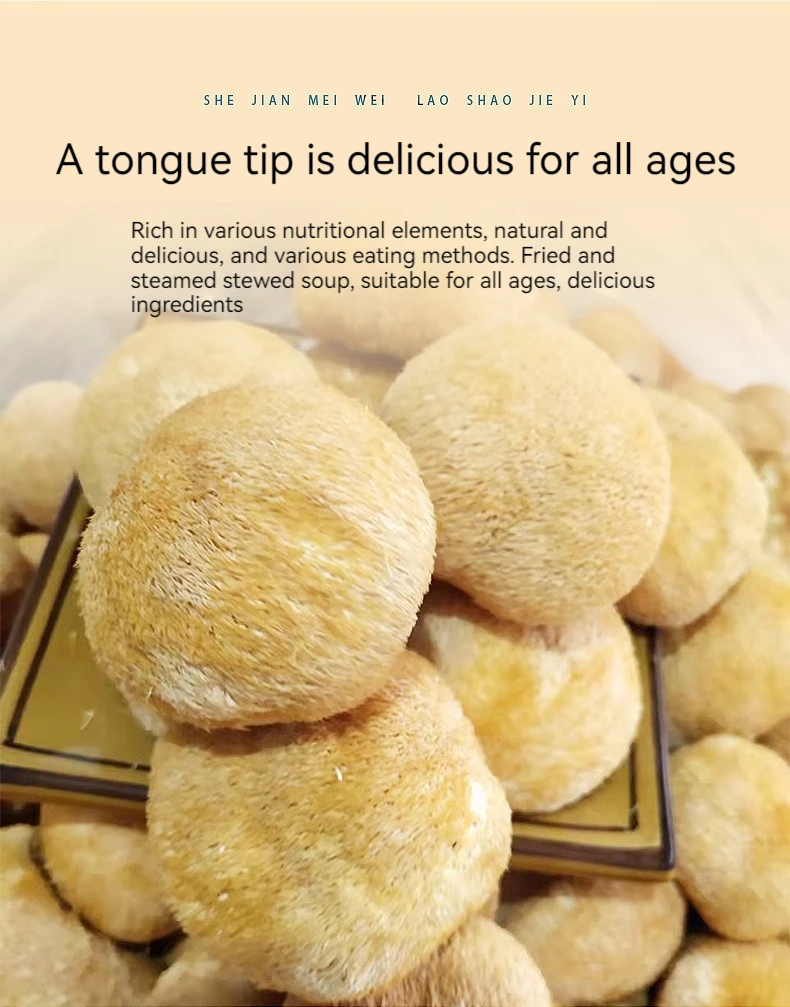 猴头菇狮子鬃毛蘑菇