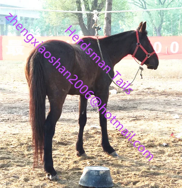 Postiches Queues De Cheval, 61Cm Curly Synthétique Vague De Maïs