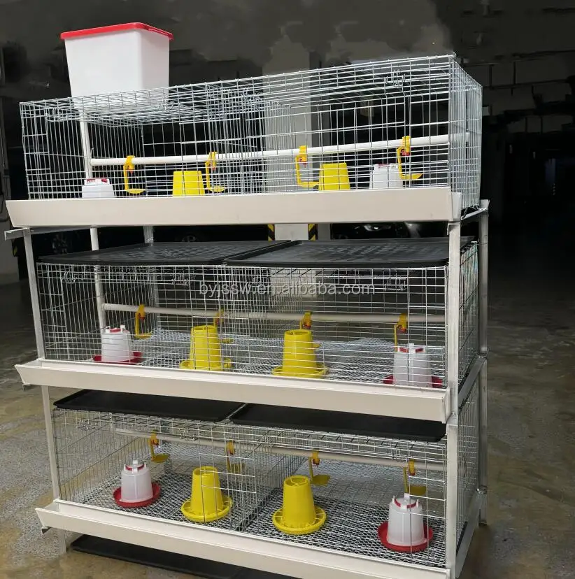 Photo inspiration: Visual Reference: H Type Chicken Broiler Cages