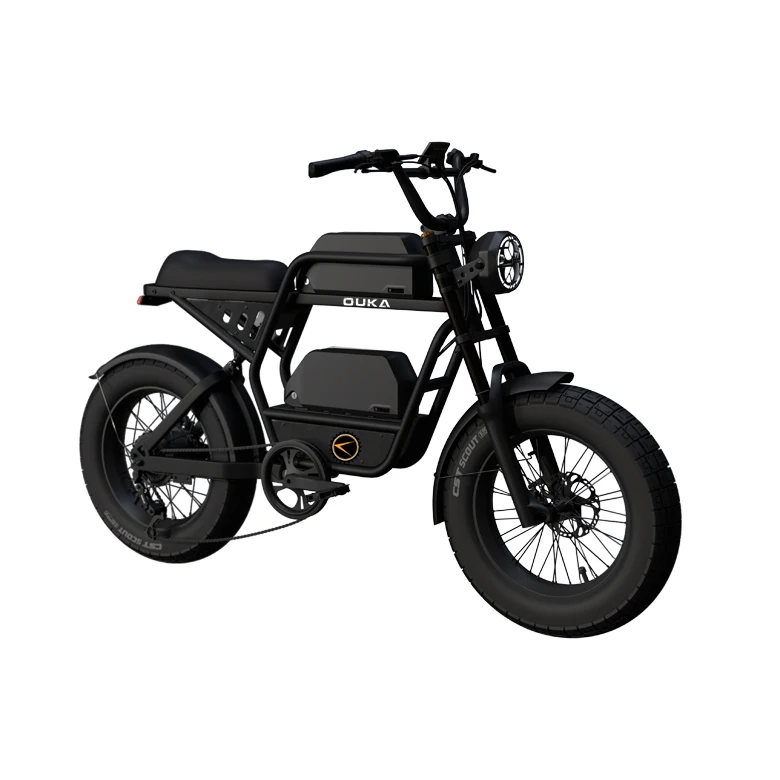 ファットタイヤ zx-is-tire-fatbike.jpg