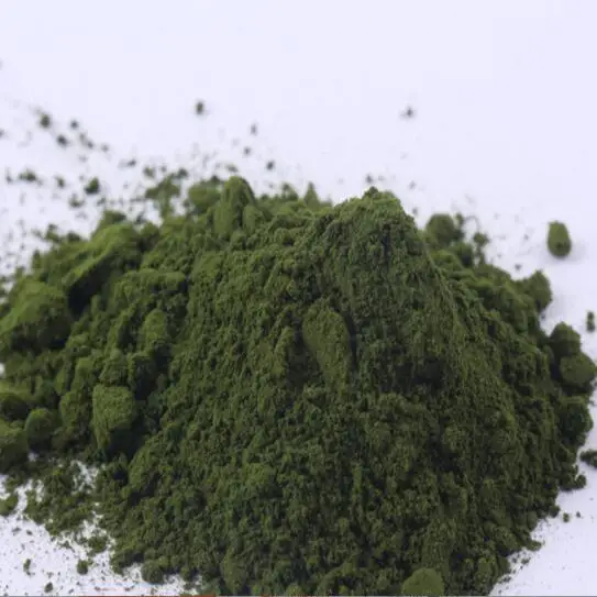 Shop Protein-rich Chlorella Powder Chlorella Extract Powder-Detailed Image 2