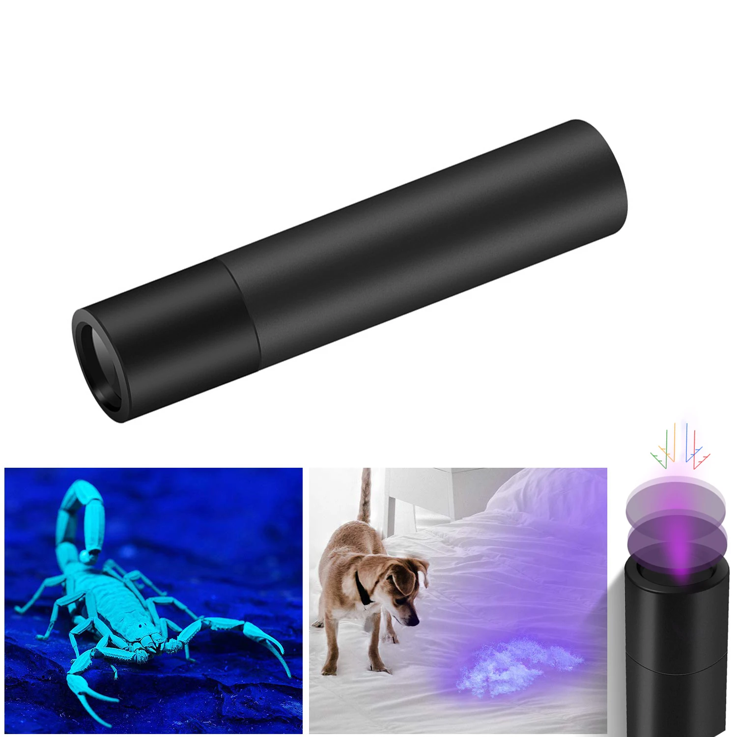 Lampe UV Noir Lumière Noire CLAR - 8 Watts T5 - Pour Détection Et Effets Spéciaux