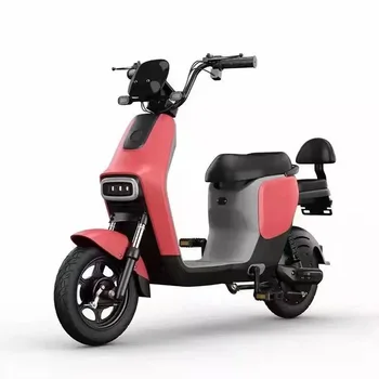 Urban Leisure 14\" Moped High-Speed Electric Hybrid Bike with 48V Lead-Acid Battery Fashionable Steel Frame for Adults