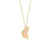 A3069 Rosa