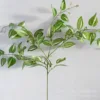80 cm Vert