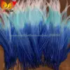 3 couleurs (bleu Royal, turquoise, blanc)