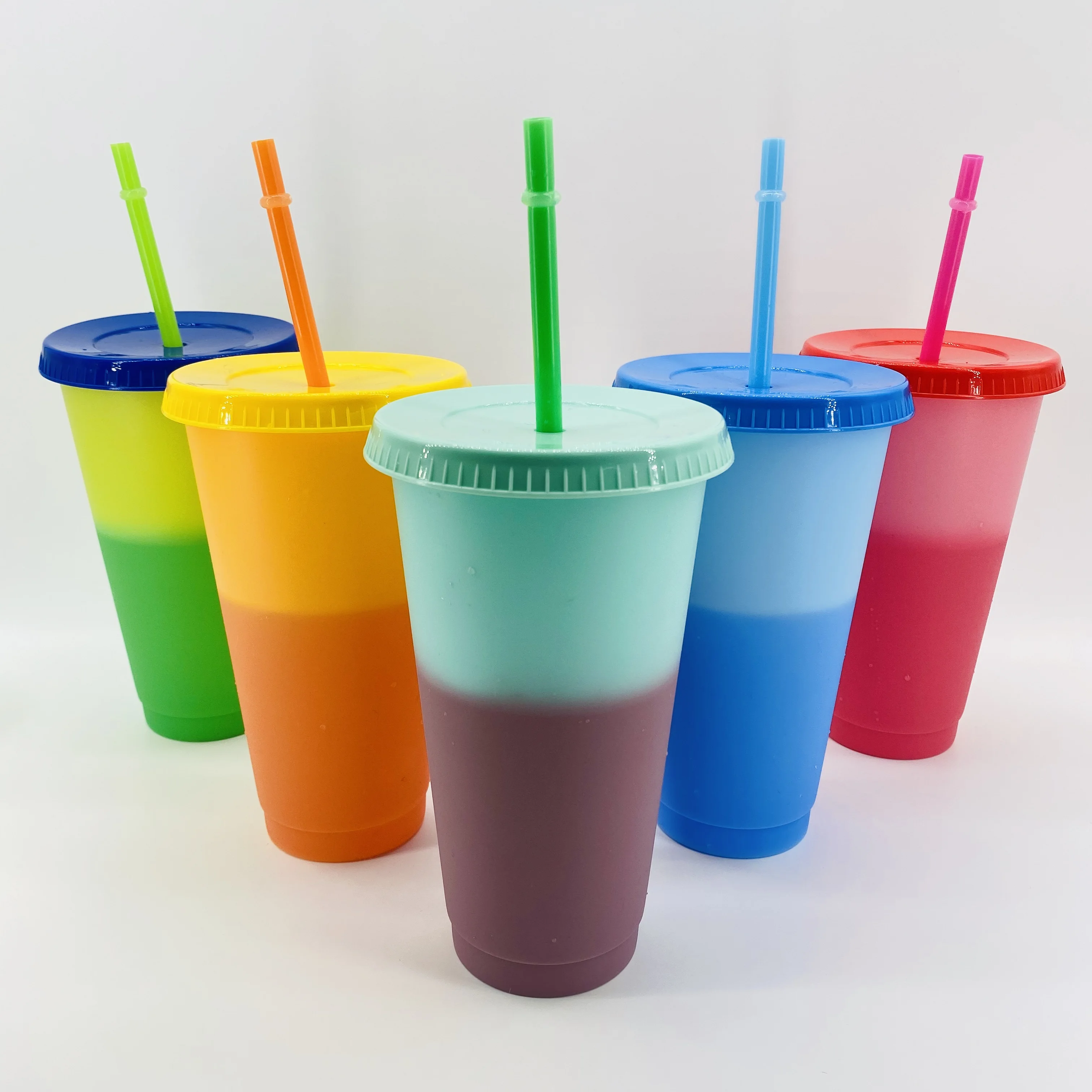 Wholesale Bulk Multicolor Double Wall Reusable 16oz Matte Acrylic Plastic Straight Skinny