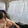 Colorful Triangle