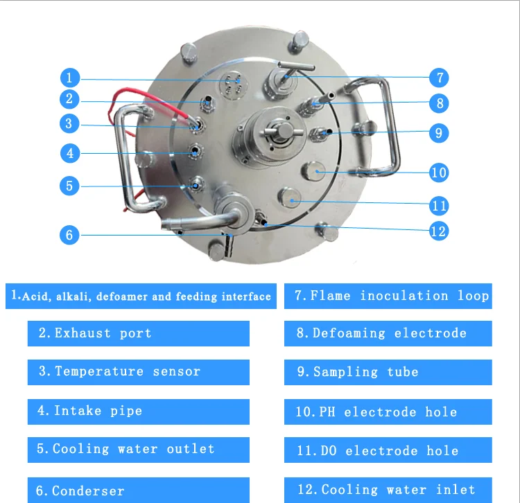 Small Laboratory Benchtop Bioreactor Fermenter 1l 2l 3l 5l 7l 10l 20l Anaerobic Glass Bioreactor Fermentor