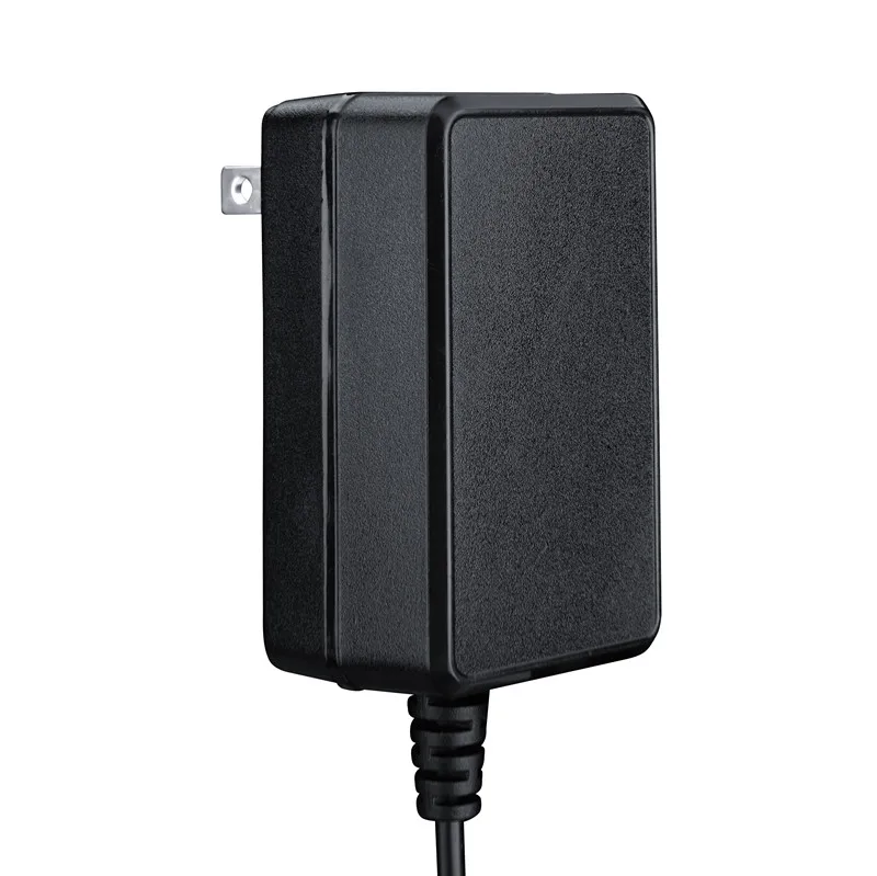 Alimentatore Da 24 V, Alimentatore Di Rete Per Pistola Massaggiante - Foto 8