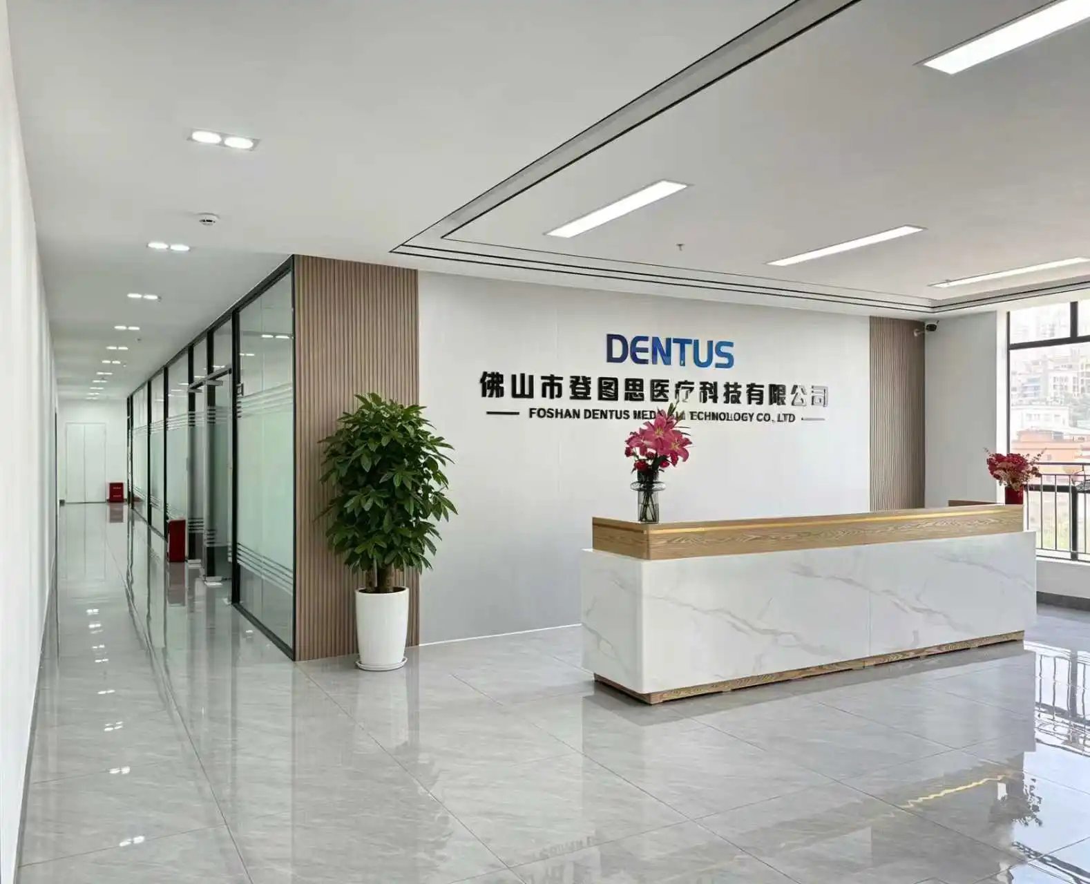 Foshan Dengtusi Medical Technology Co., Ltd.