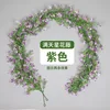 Une vigne de gypsophile violette
