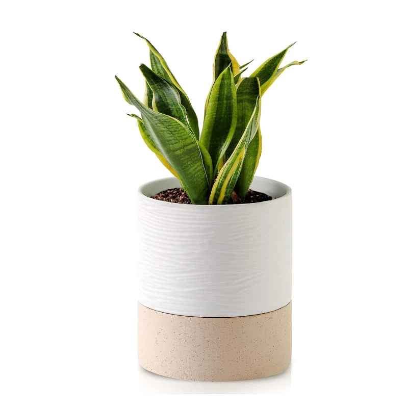 Vasi, Cestini E Fioriere In Ceramica Per Piante - Foto 7