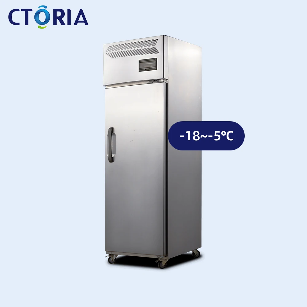 Automatic CTORIA -18~-5 Single-Temperature Commercial Upright Freezer Foaming Door Refrigerator