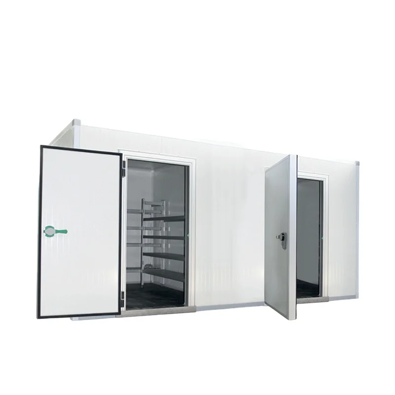 100 Cubic Meters Cold Storage/cold Room