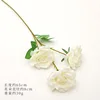 สีขาว