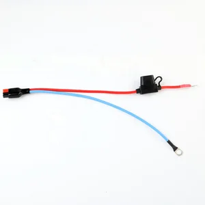 30A Power Plug to SC Copper Terminal Connectors 4.5mm Blue Red Conversion Battery Wire Cable with 30A Micro Medium Fuse Holder