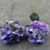 Viola scuro