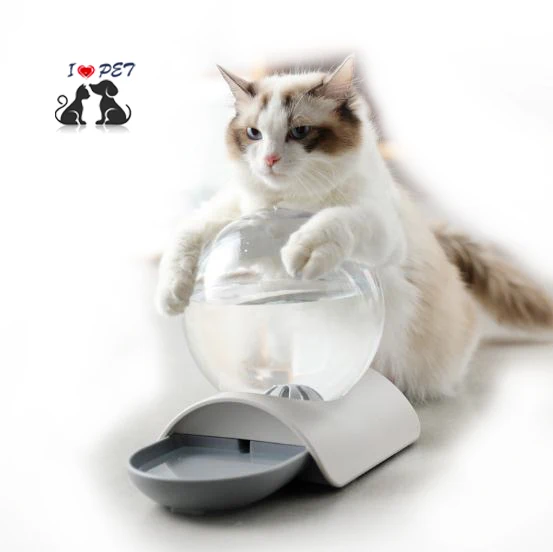 Mangeoire Automatique Pour Animaux De Compagnie Bol D Eau En Forme D Escargot Pour Chats Et Chiens Buy Distributeur D Eau Pour Animaux De Compagnie Bol D Eau Pour Chat Sortie D Eau Pour Animaux De Compagnie Product On