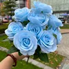 9 amante mei-azzurro