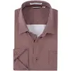 Burgundy 262