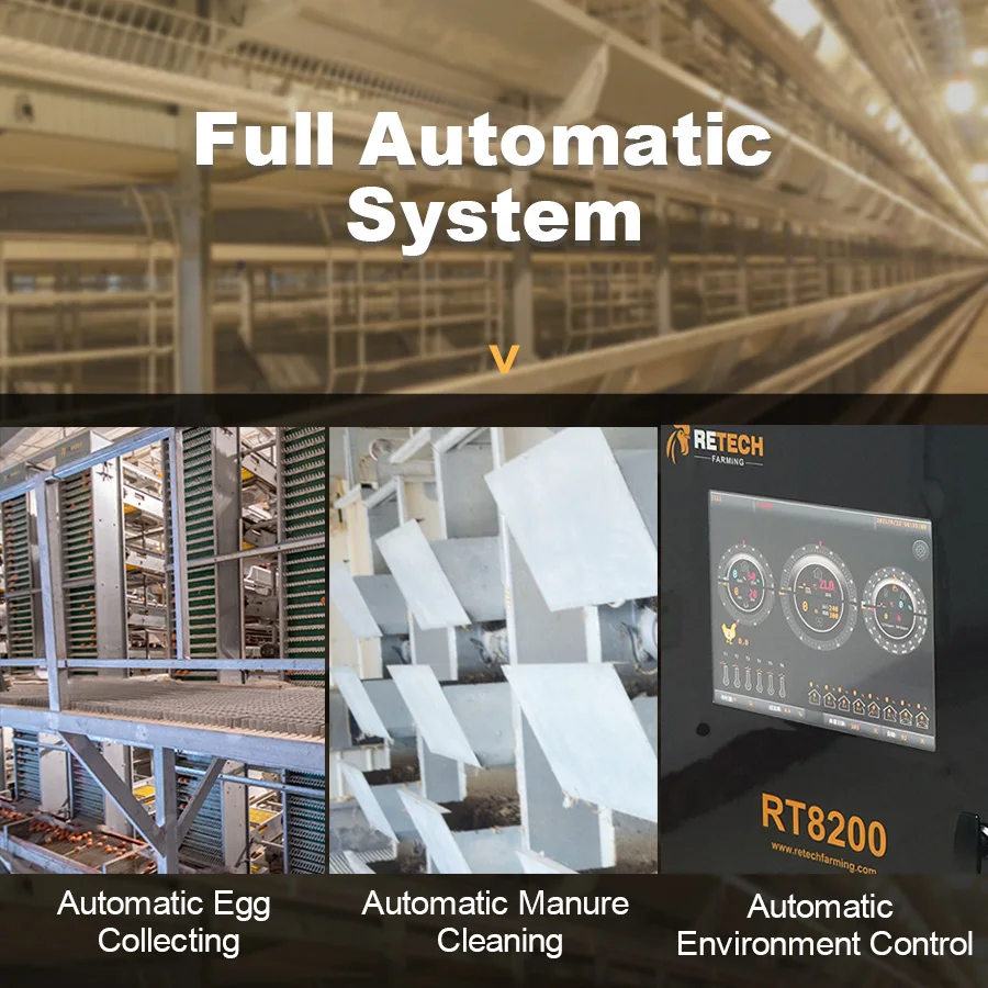 Full Automatic H Type 4 Tier 10000 Egg Layer Chicken Cage With Automatic Feeder System