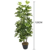 120CM