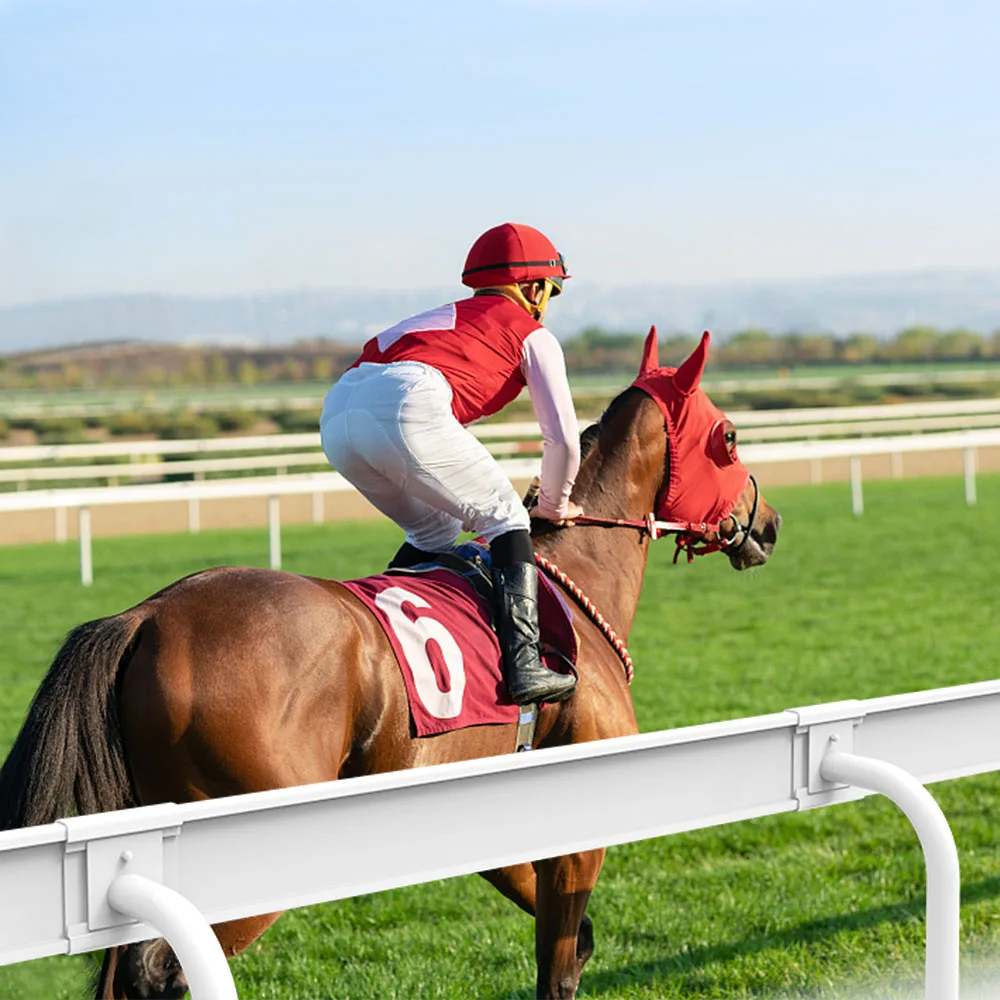 Horse Racing Track Railing Alibaba.com: Fentech Horse Track Running Railing, durable outdoor ...