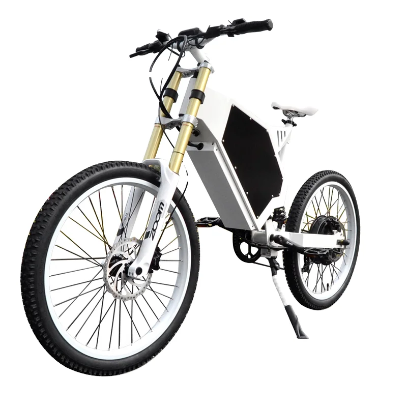 Factory Professional Carbon Steel Motorcycle Frame for Stealth Bomber  Enduro Mountain Bikes for Electric Bike Use