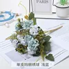 Mary hydrangea-light blue-light-colored leaves