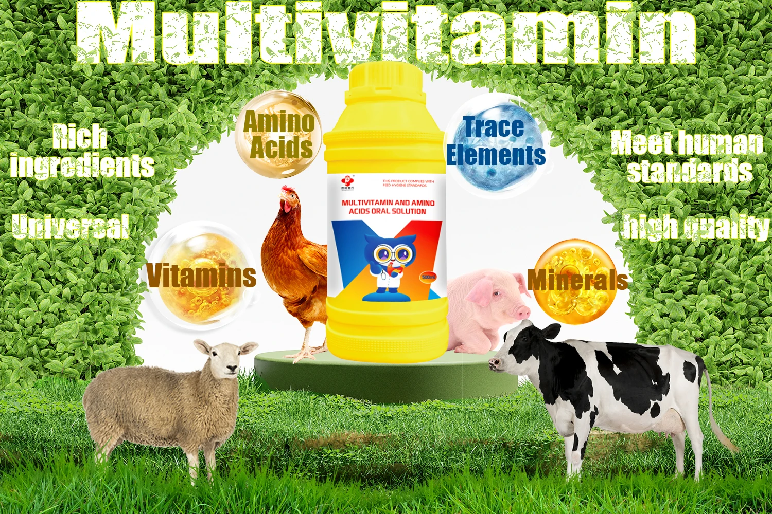 Poultry Vitamin Supplement - Boost Growth & Egg Production